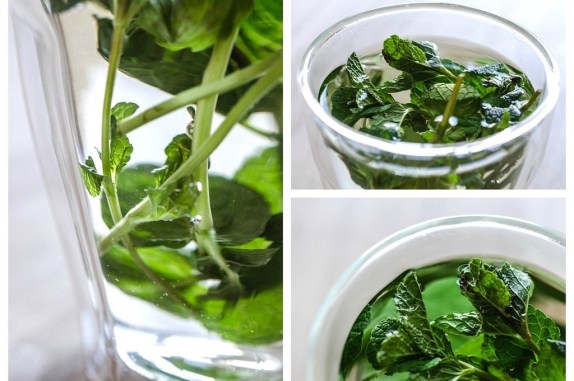 8452681167_861521740a_b