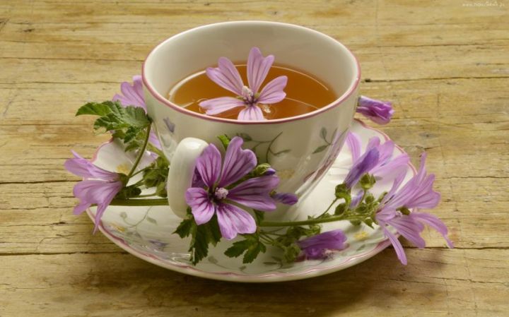 tisana-malva-ricetta.jpg